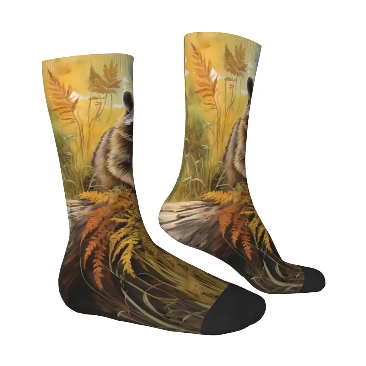 Raccoon Sock Printed Man Polyester
