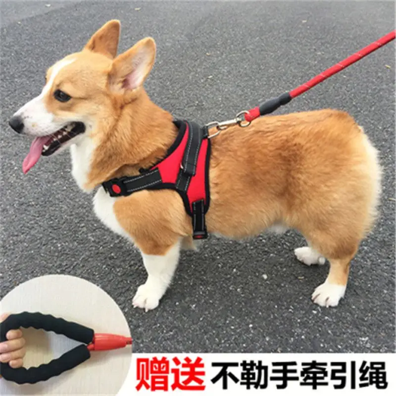 

Dog Leash Vest Type Chest Strap Medium Large Dog Walking Golden Retriever Labrador Teddy Dog Leash