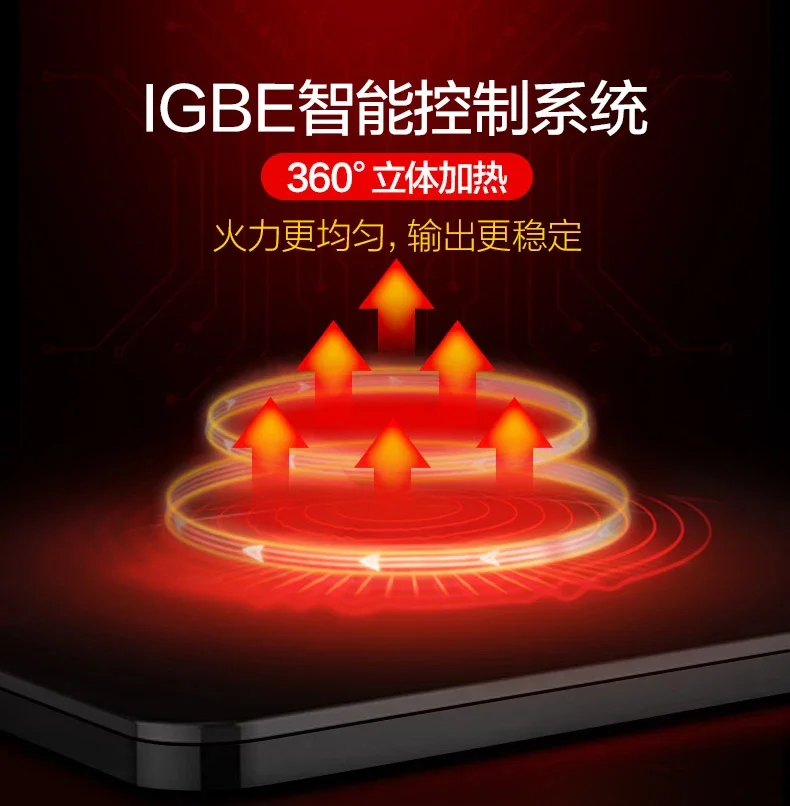 Estufa de gas integrada de 220 V y cocina eléctrica con un quemador de gas y una placa de inducción