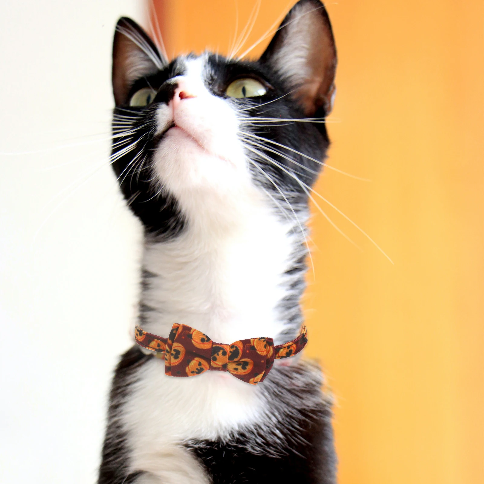 

Bow Collar Cat Bowknot Tie Pet Dog Kitten Adjustable Necklace Supplies for Halloween Collars