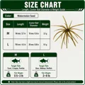 Watermelon Seed
