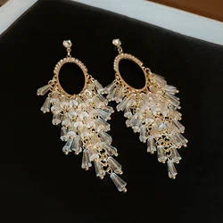 Silver Needle Rhinestone Tassel Earrings European and American Fashion Atmospheric Crystal Earring New Light Luxury Jewelry