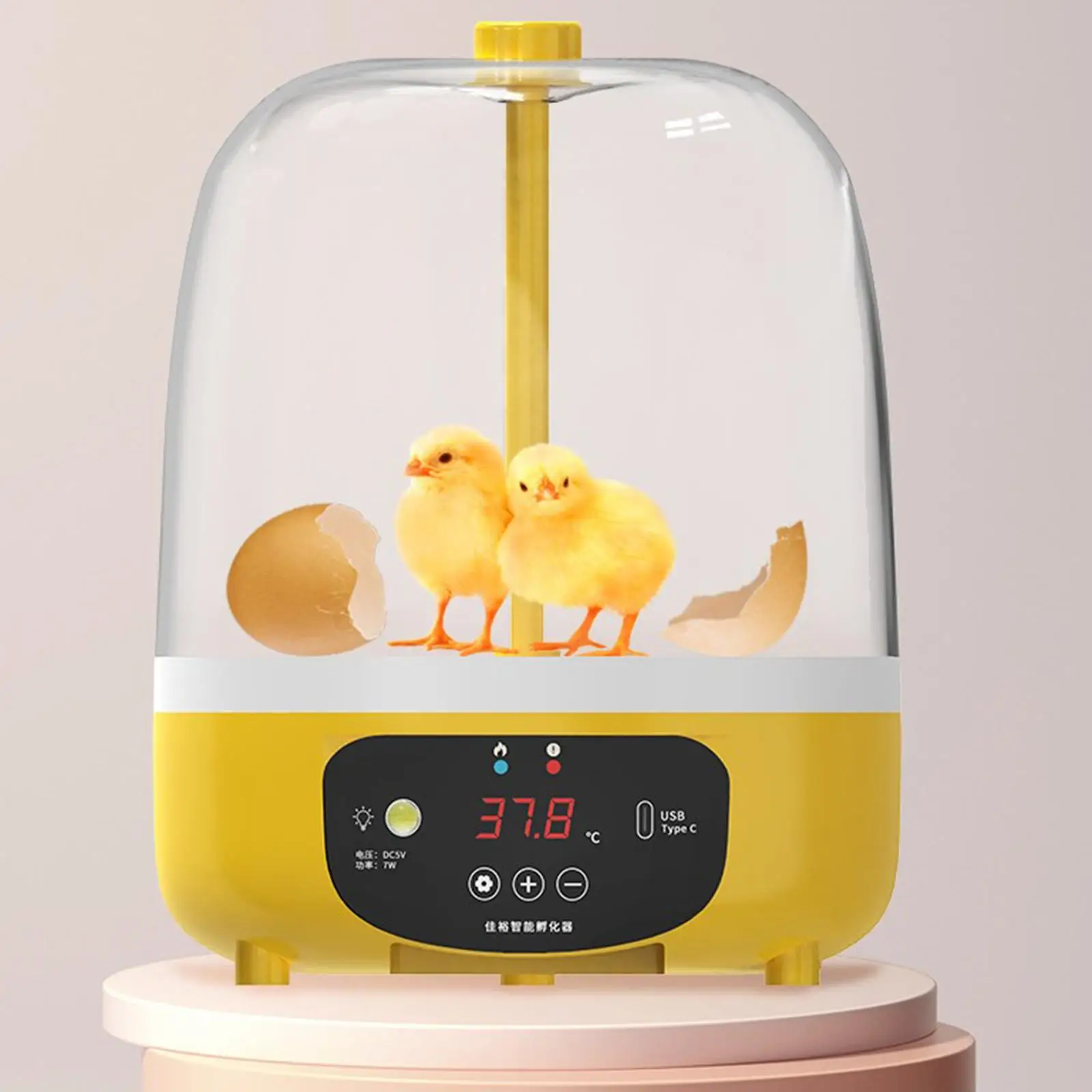 Incubadora automática para huevos de codorniz y gallina