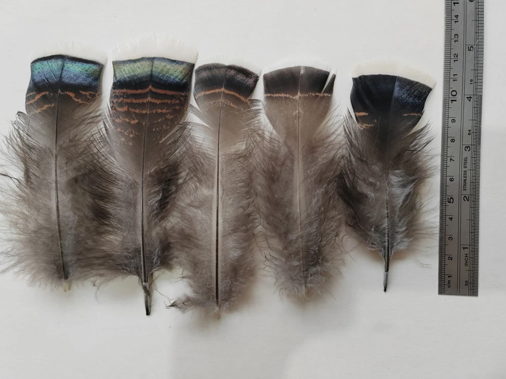 100Pieces 4-8inches 10-20cm Long Natural Wild Bronze Turkey Flats Feathers, Fly Tying, Smudging Craft