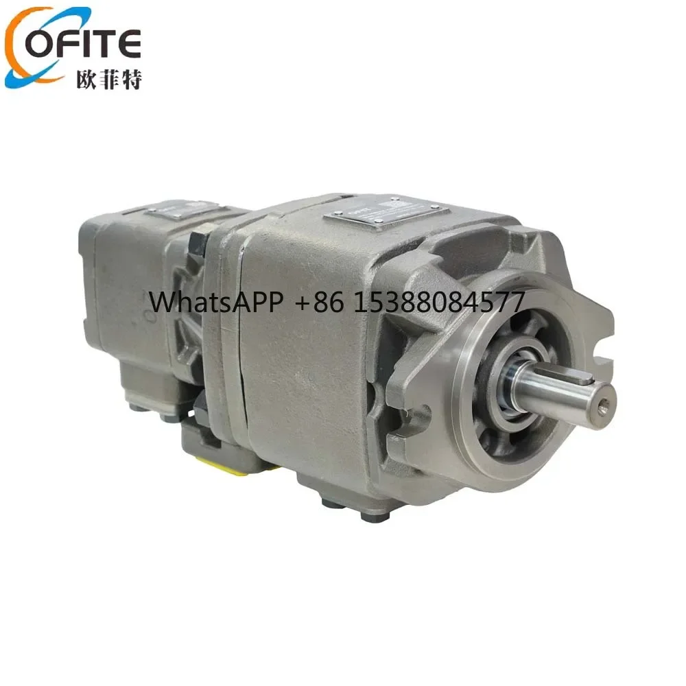 

Tandem Pump Factory Hot Selling Hydraulic Gear Pump Oil Pump for Injection Molding Machines Bending Machines