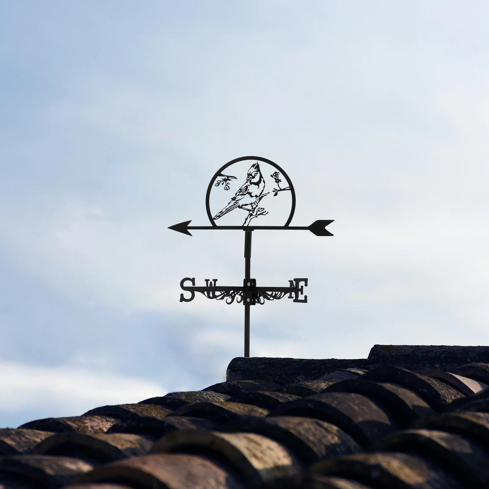 

Retro Iron Weathervane Ornament Outdoor Garden Metal Direction Indicator Wind Vane Decorative Yard Art Animal Iron Wind Vane