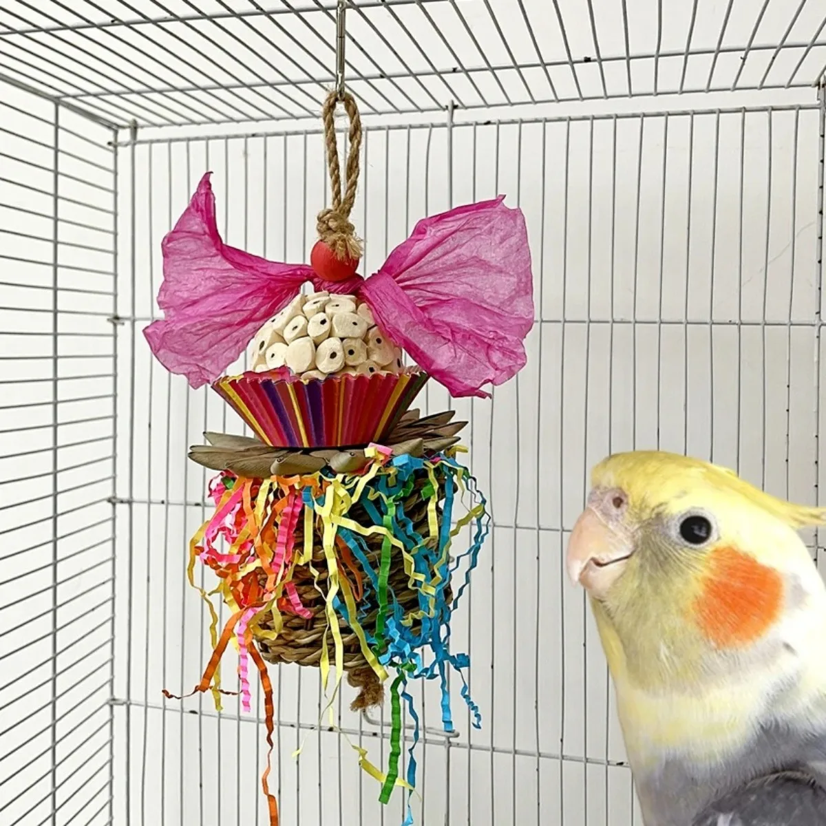 Natural Sola Balls Bird Chew Toy For Parrotlet Budgie Cockatiel Forage Treat For Bird Chewing Toy Parrotlet Budgie Supplies