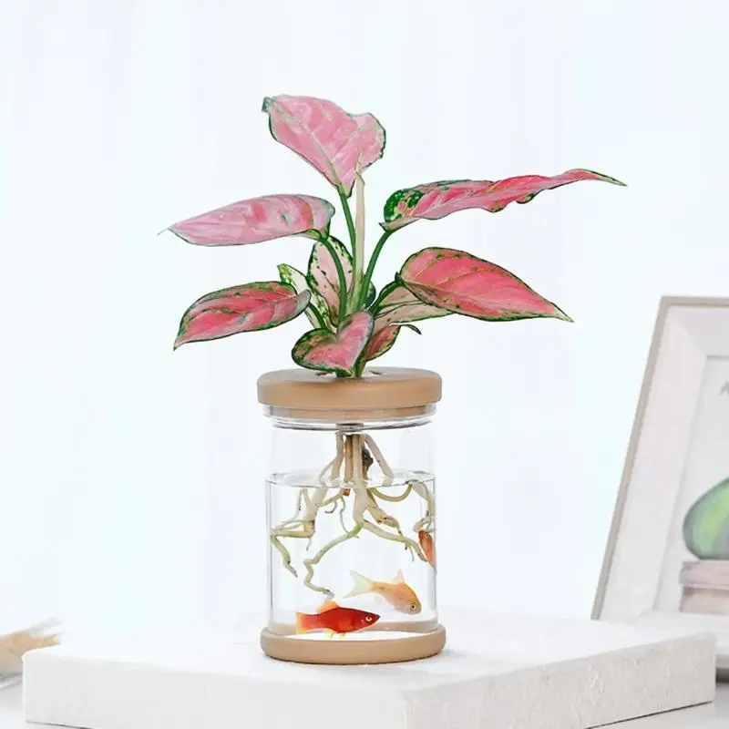 E8BD Innovative Hydroponic Container Easy Plant Growth Monitoring Small Flowerpot for Succulents Home Decoration Hydroponic