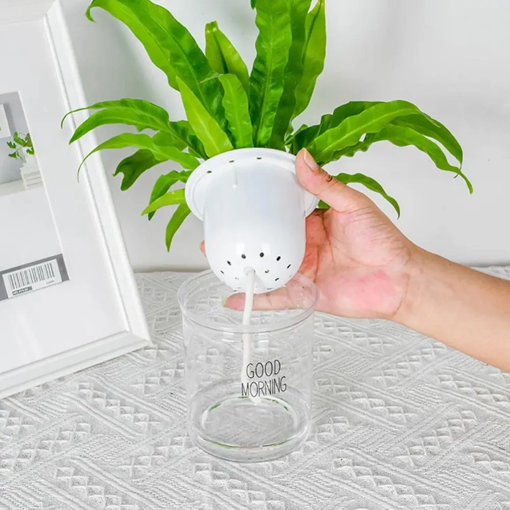 2 Sets Hydroponic Flowerpot PET Double Tier Automatic Self Watering Planter Plastic Plant Flower Pot Epipremnum Aureum Garden