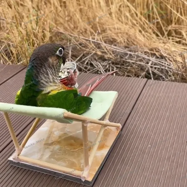 

Маленький специальный стул с изображением солнечного попугая, пляжное кресло с откидной спинкой для облегчения скуки и самостоятельного изготовления, новый попугай Xuanfeng, кровать, декомпрессия и