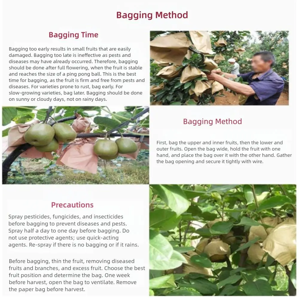100PCS Breathable Fruit Development Bag Waterproof Promote Growth Fruit Protection Bagging Against Insect Protection Cover