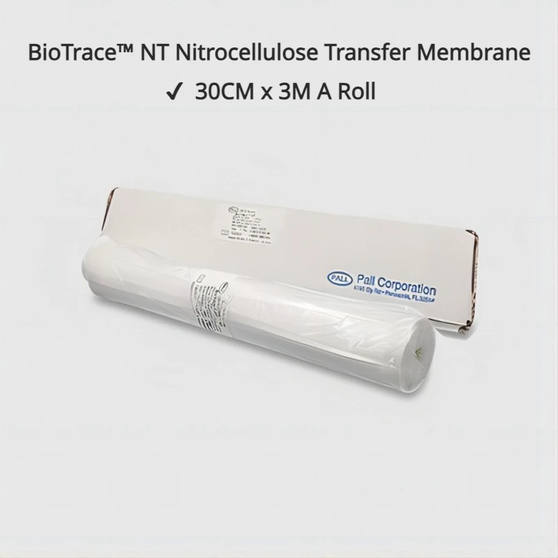 

PALL 66485 0.2um NC Membrane BioTrace™ NT Nitrocellulose Transfer Membrane 30cmX3M Roll for Western/Dot/Slot Blotting Lab Usage