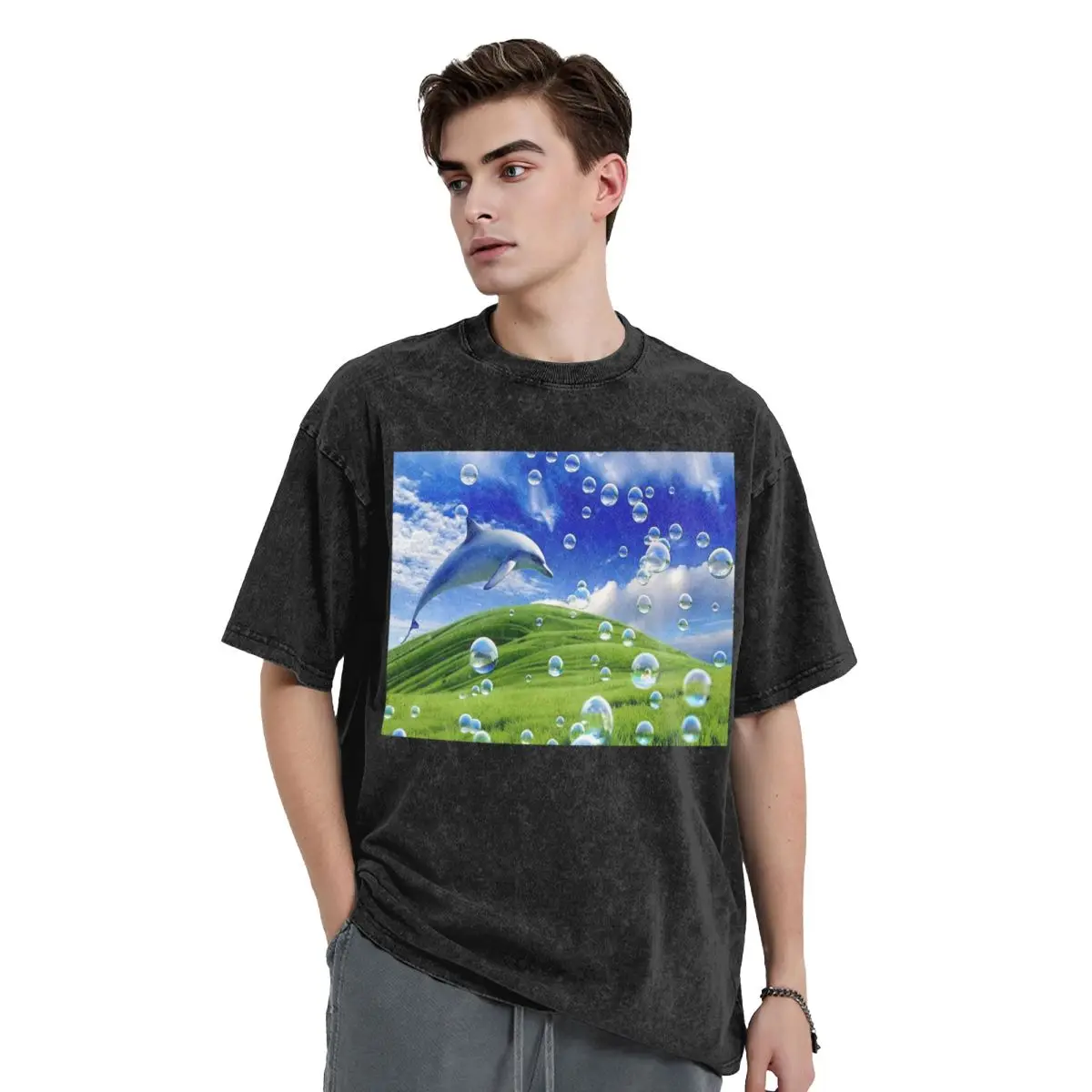 Frutiger Aero Dolphin Y2k Aesthetic Meadow With Bubbles And Mountains And Sky Washed T Shirts Short Sleeve Hip Hop T-Shirt