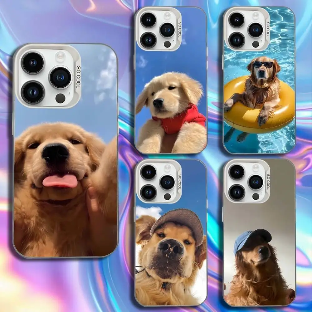 

Funny Cute Golden Retriever Dog Phone Case For iPhone 17,16,15,14,13,12,11,Mini,Pro,SE,MAX White Matte Shockproof Cover
