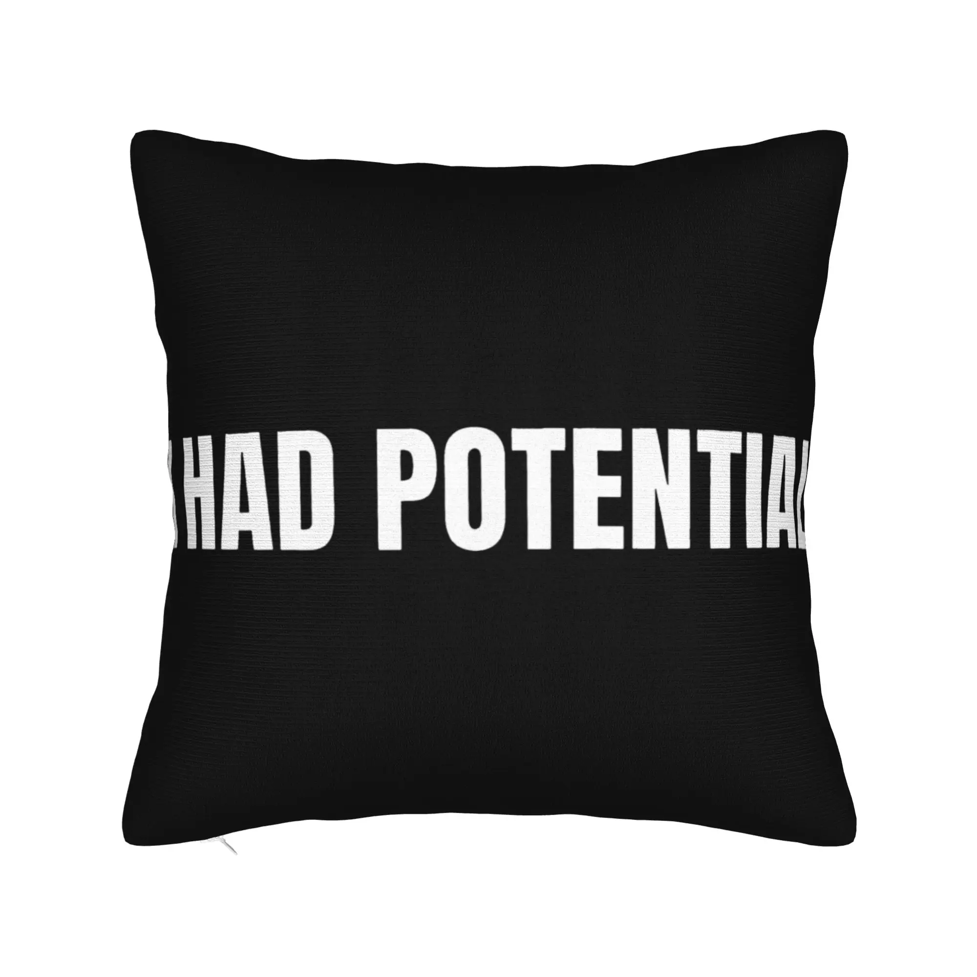 Pillow Cover I Had Potential Project Hail Mary  Novelty Pillow Case For Living Room Bed Chair Pillowcases
