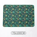 DD04-70x100cm