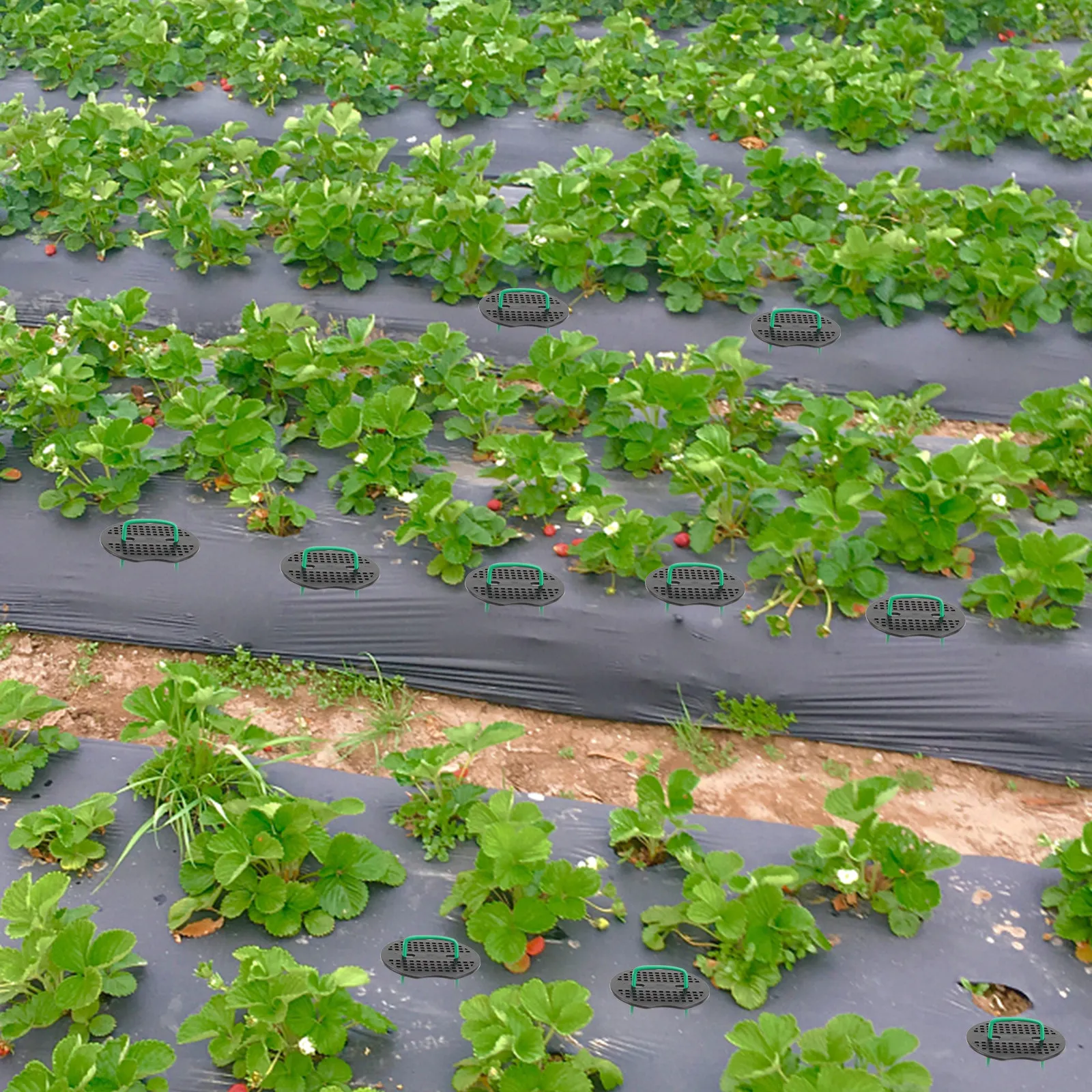 

Набор из 100 оцинкованных металлических U-образных колышков для сада, газона, ландшафтного дизайна, крепления растений на открытом воздухе, прочная стальная проволока