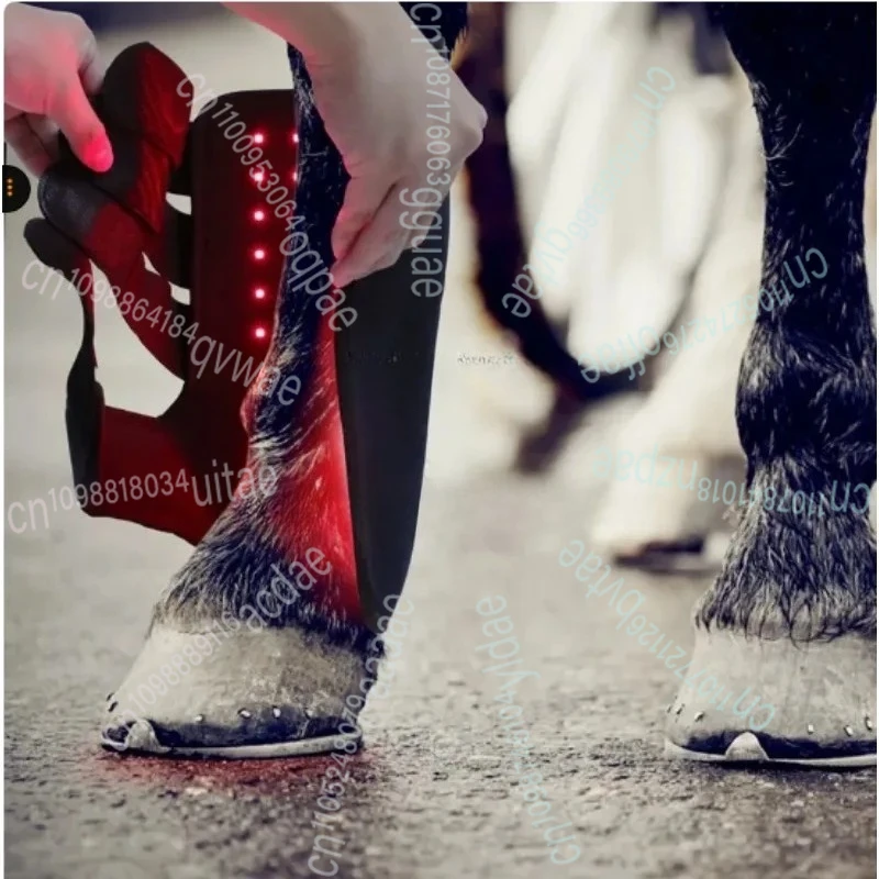 تسخير طماق ضوء الأشعة تحت الحمراء الأشعة تحت الحمراء الحيوانات الأليفة العضلات سلالة الفم الحصان الساق أدوات العلاج بالضوء