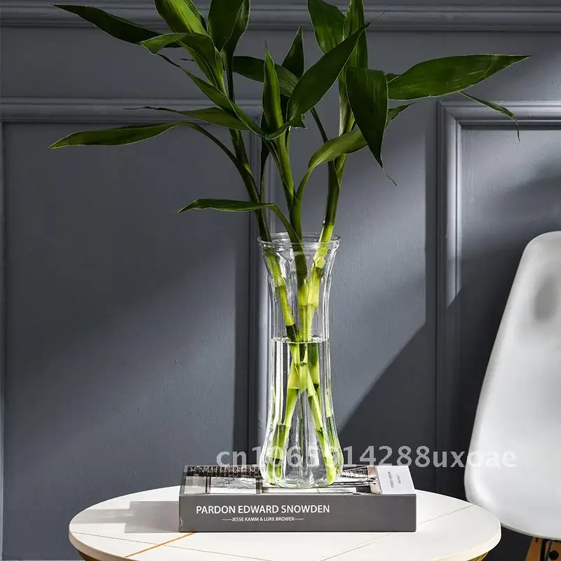 Transparent Plastic Fish Tank Hydroponic Vase Small Aquatic Plant Container Desktop Flower Pot with Basket for Green