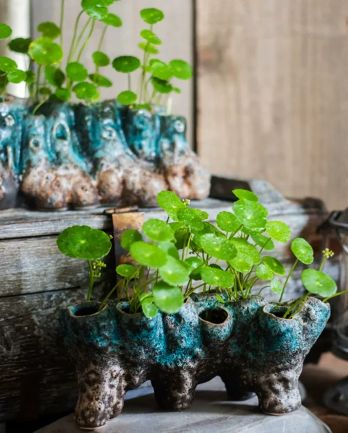 Creative Porous Ceramic Vase Hydroponic Green Plant Decoration Home Livingroom Balcony Accessories Homestay Furnishing Ornaments