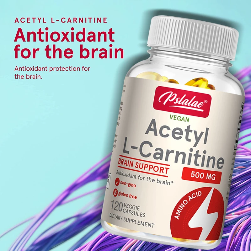 Acetyl-L-Carnitine Capsules - Supports Memory Focus Increase Body Performance Metabolic Energy