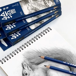 Black Sketch Pencil Professional Wood Drawing Pencil H/2H/3H/4H/5H/6H/HB 2/3/4/5/6/8/10/12B Art  Drawing Pencils 12Pcs