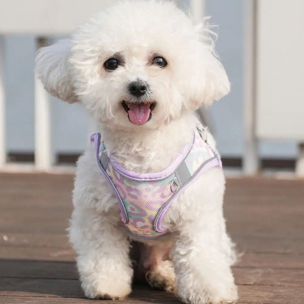 

Adjustable Dog Harness Leash Set Breathable Reflective Pet Vest Style Harness Kawaii Mesh Pet Chest Strap Training Use