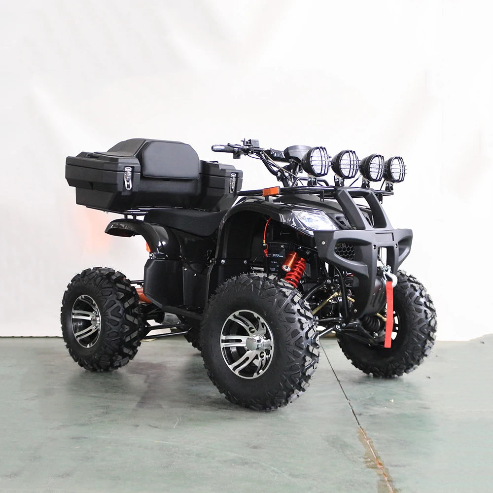 Взрослый спортивный электричес – обзор и цена Electric Quad Bike 2000W