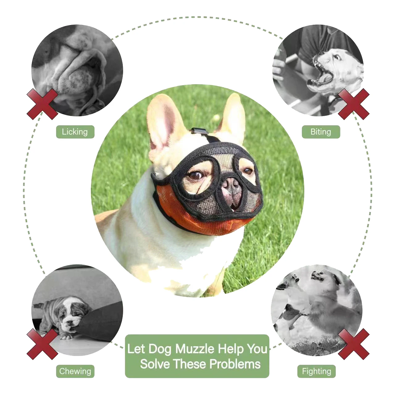Thumbnail 3 - #36 Pet Muzzles Comparison Guide