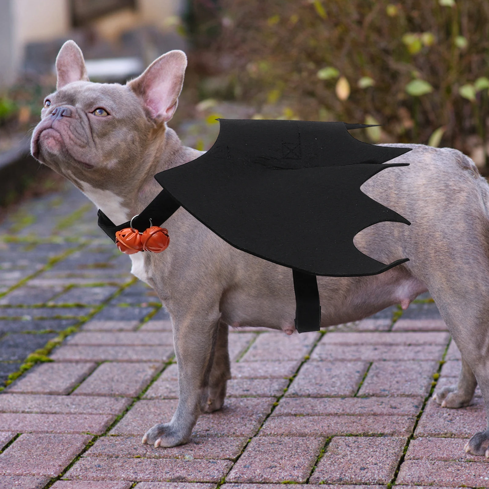 

Ups Bat Wing Cosplay Costume Small Dog Dress Accessories Cloth Pet Supplies