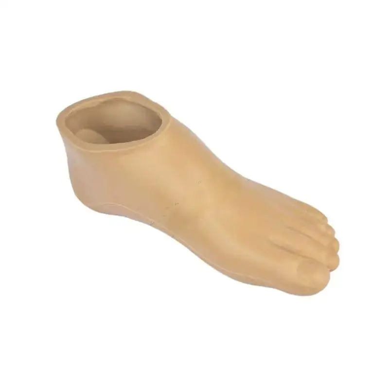 B Type Prosthetic Foot Board Carbon Fiber Feet Cover Sleeve Skin 22～29cm Accessories Parts Artificial Limbs Ortheses Prostheses