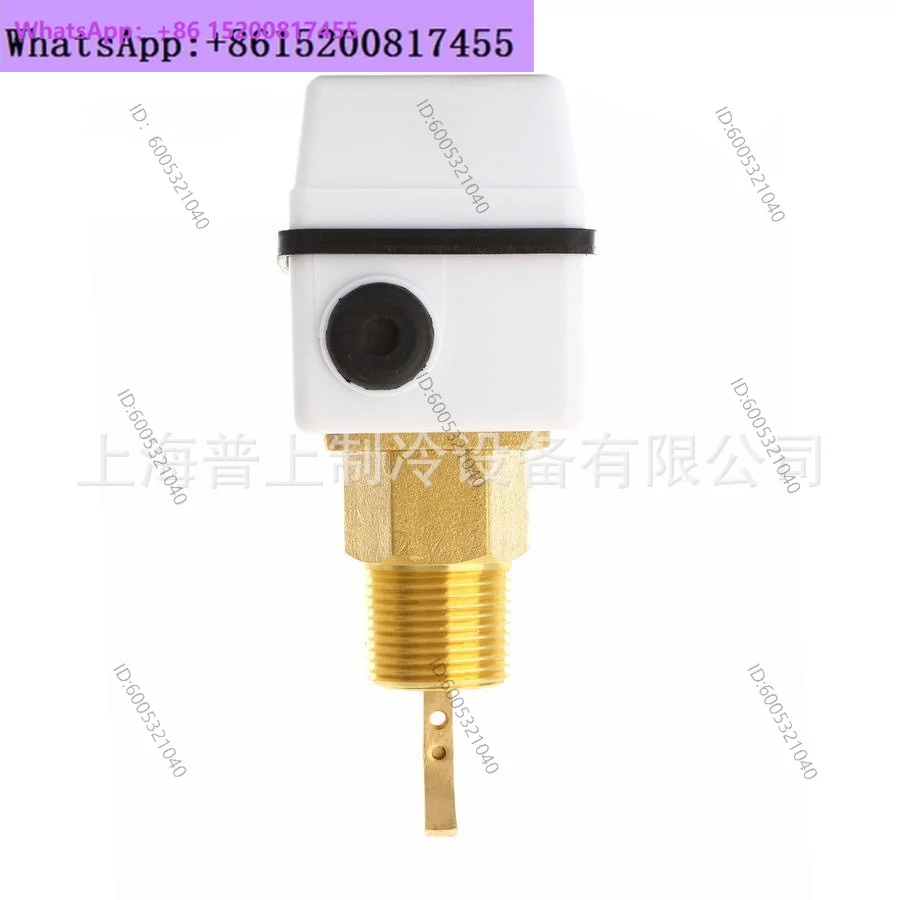 Fengshen Flow Switch 1 Inch FSF50P-1SW FSF50P-1A Pipeline Flowmeter