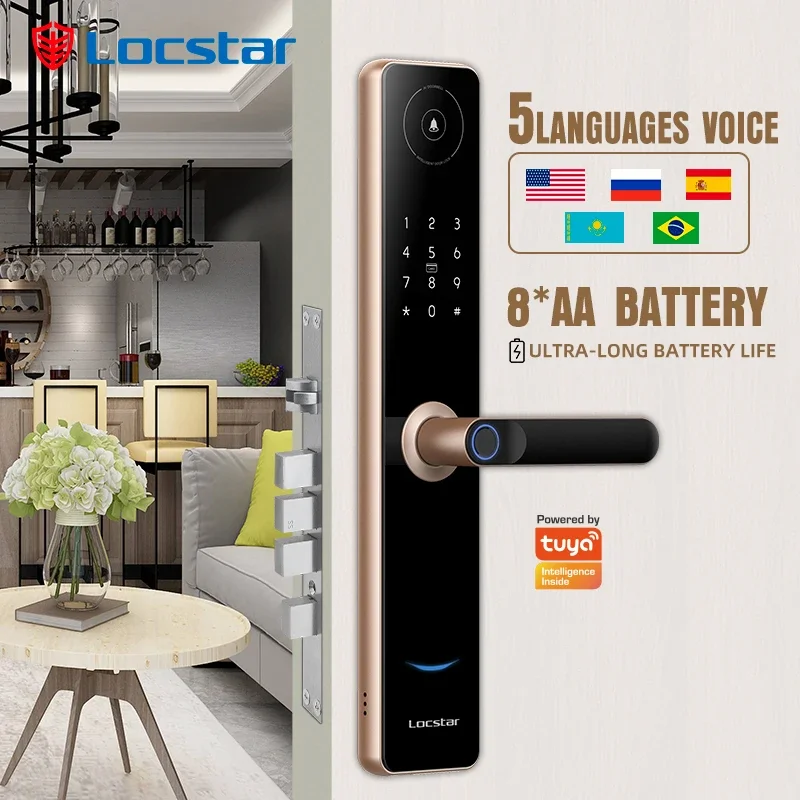 Locstar Manufacturer 26 Years OEM/ODM Professional Customization Security Commercial Biometric Internet Smart Lock With Wifi