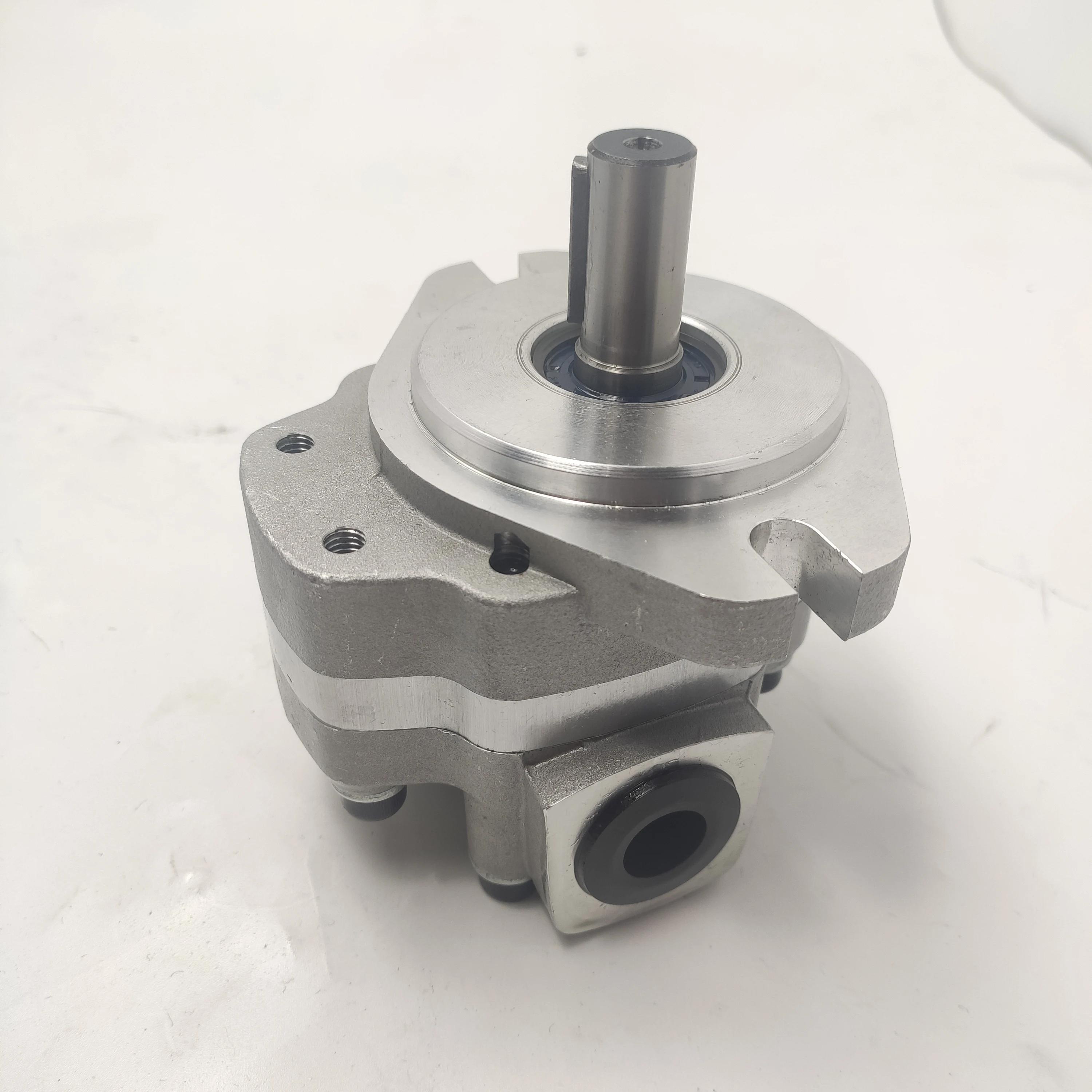 CHENGYUAN G5 Series Hydraulic Gear Pump Oil Pump GM5-20-AF13R-20 GM5-25-AF13S-20 Hydraulic Gear Pump