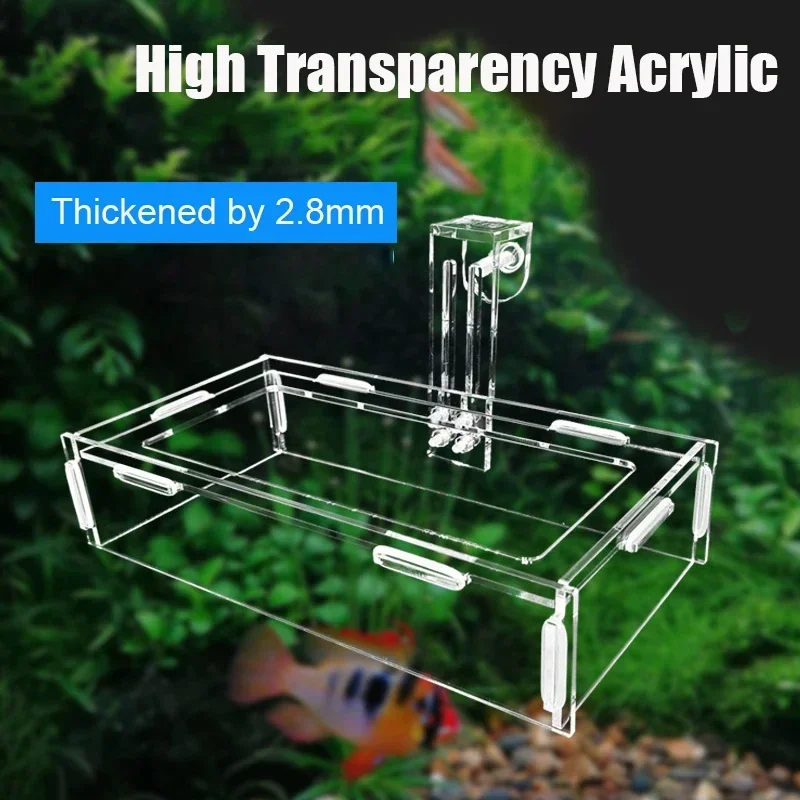 Hanging Fish Feeder Tray Anti-Drifting Floating Feeding Ring Acrylic Fixed-point Fish Food Feeder Aquatic Aquarium Accessories