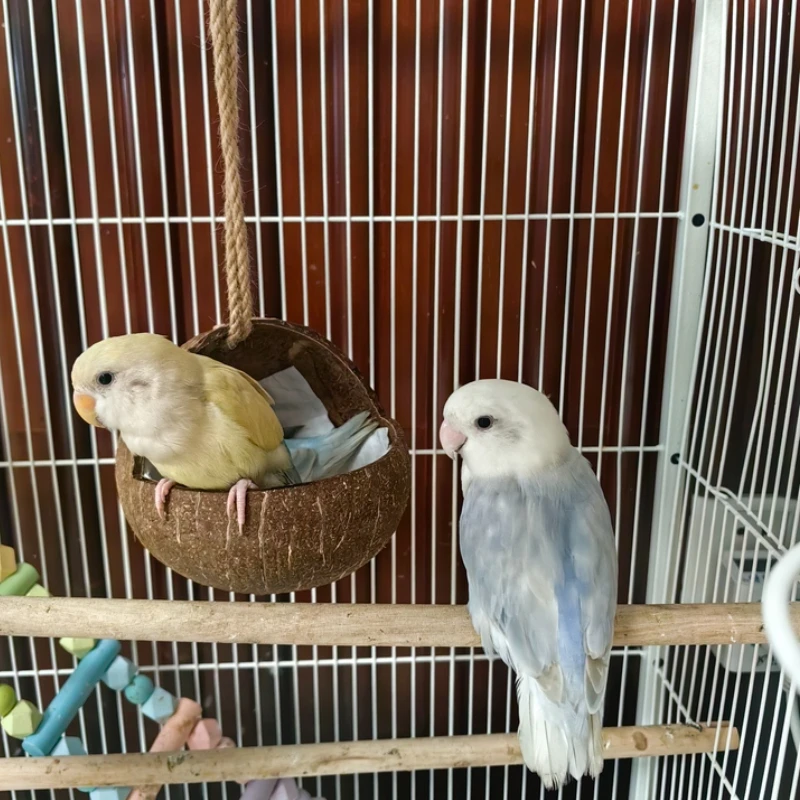 Thumbnail 3 - #19 Latest Bird Cage Ladders Offers