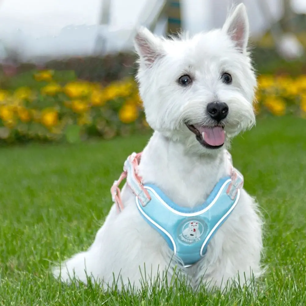 

Cartoon Breathable Pet Chest Harness Vest Reflective Anti-Escape Dog Harness Vest Adjustable Pet Harness Leash Pet Supplies