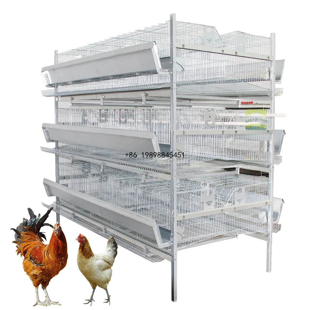 Chicken Cages Galvanized Multifunctional Battery Layer Steel Automatic Egg Collection Poultry Farming Equipment
