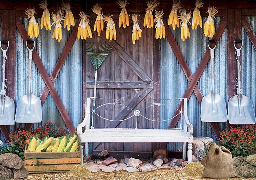 

Johnson red barn harvest Wood Door farm themed backdrops High quality computer print scenic Photography Studio Backgrounds