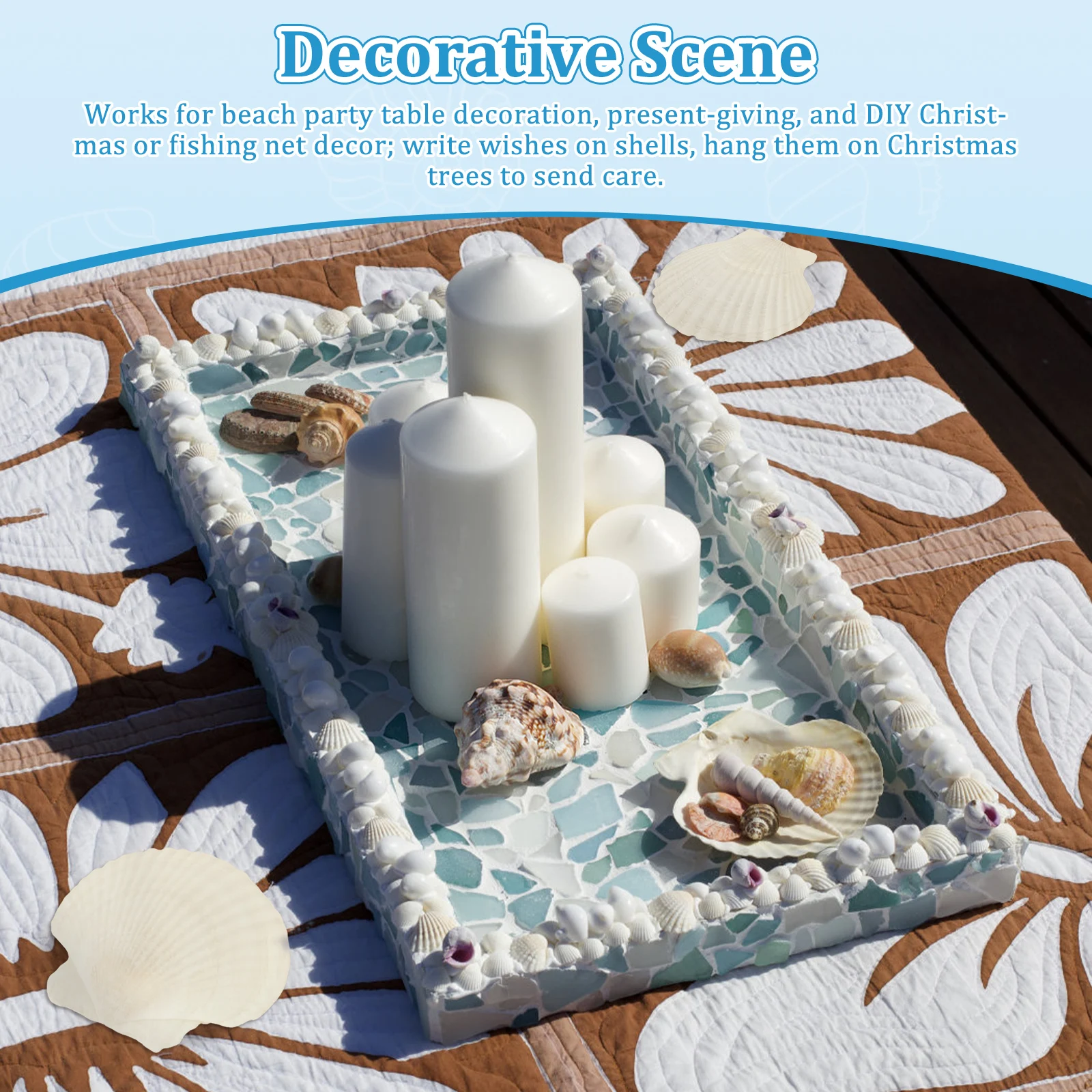 قذائف التقوقع الأبيض الطبيعي DIY بها بنفسك الحرف الخبز ديكور الشاطئ حفلات الزفاف رسمت باليد الكتابة على الجدران ملصقات جدار الحرف الديكور