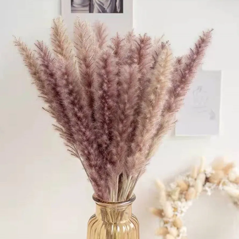 

15pcs/lot Natural Immortal Flower Small Pampas Grass Real Planted Reed Grass For Home Bedroom Decoration, Gifts, Wedding Decor