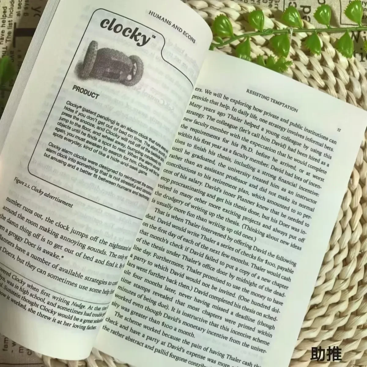 How Economics Changes Decision-making Processes Through Subtle Hints Leading Social Progress and Personal Growth