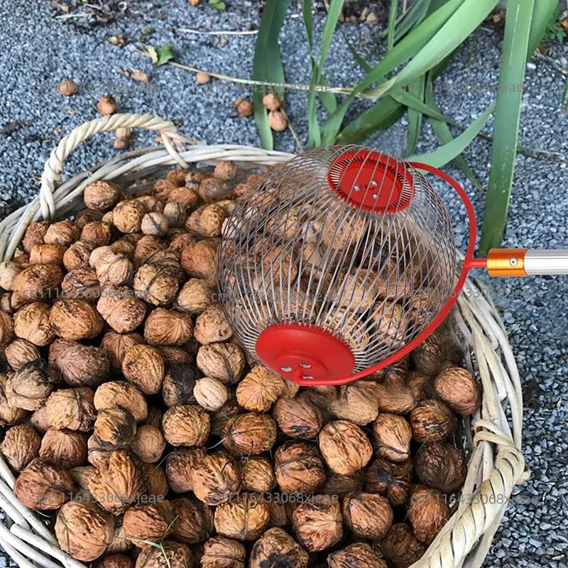 2PC Hot Sale Nut Collector Fruit Picker Walnut Chestnut Garden Tool Picker Fruit Collector