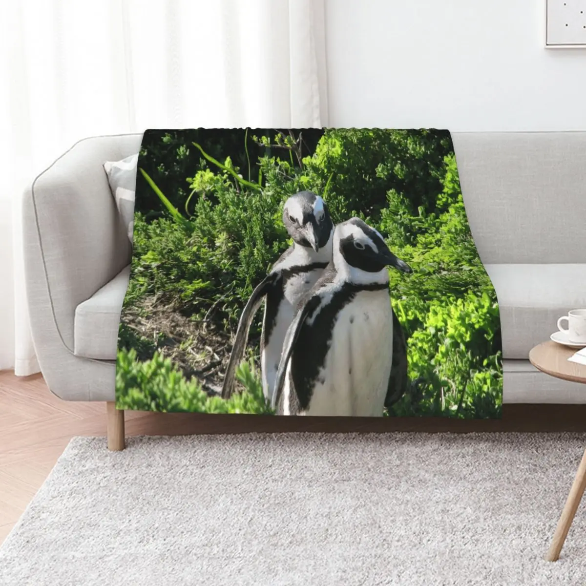 

Two African Penguins Strolling Boulders Beach, Cape Town, South Africa Throw Blanket Decorative Sofas Flannels Warm Blankets