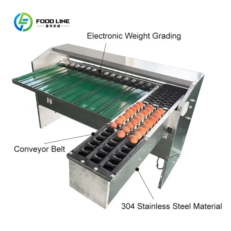 Customized Fully Automatic Egg Grading and Weighing Equipment 5-7 Grade Grading Precise Efficient Commercial Catering Use 170kg