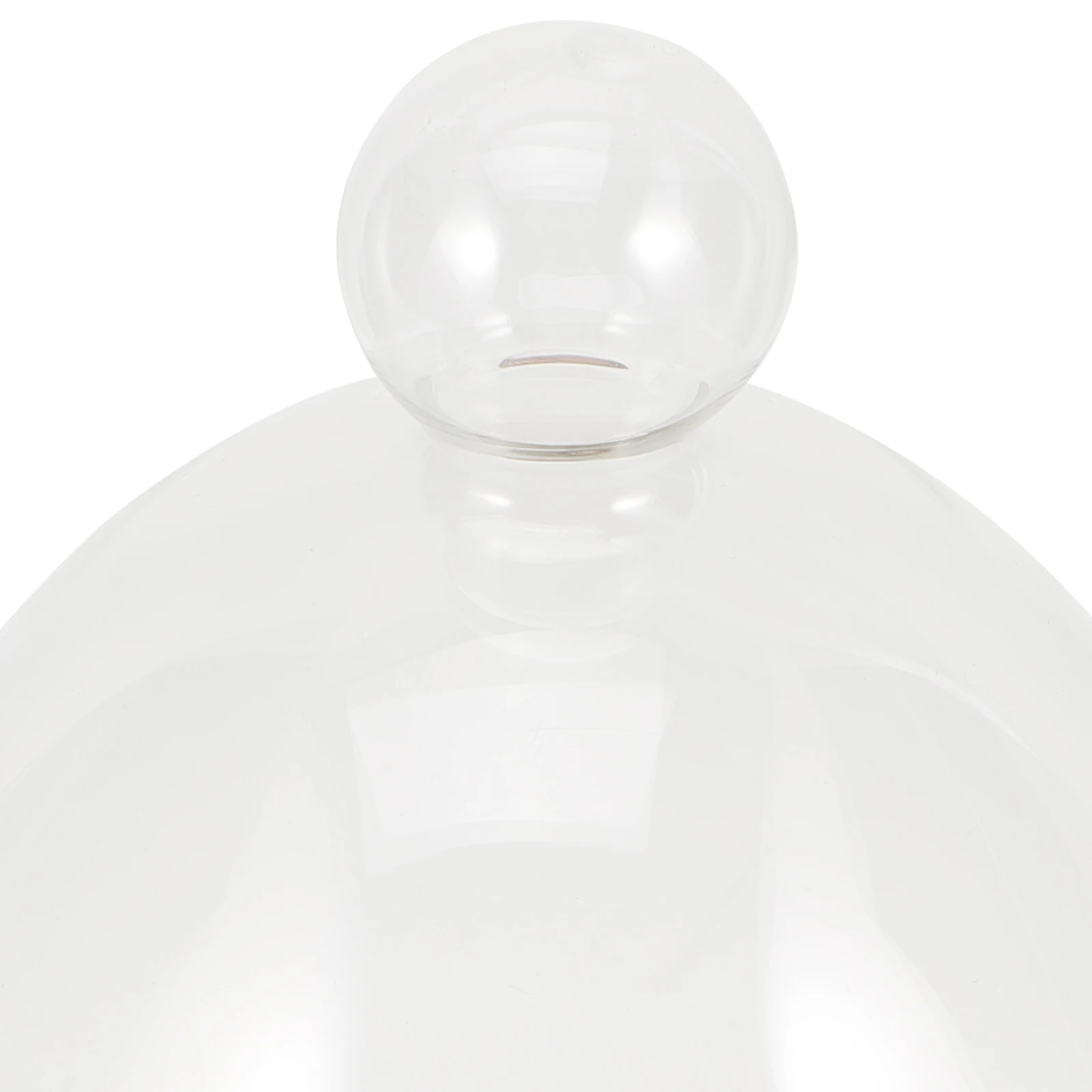 

Egg Shaped Glass Dome with Wood Base Clear Decoration Display Vase for Flower Craft Micro Landscape Desktop Ornament Storage Jar