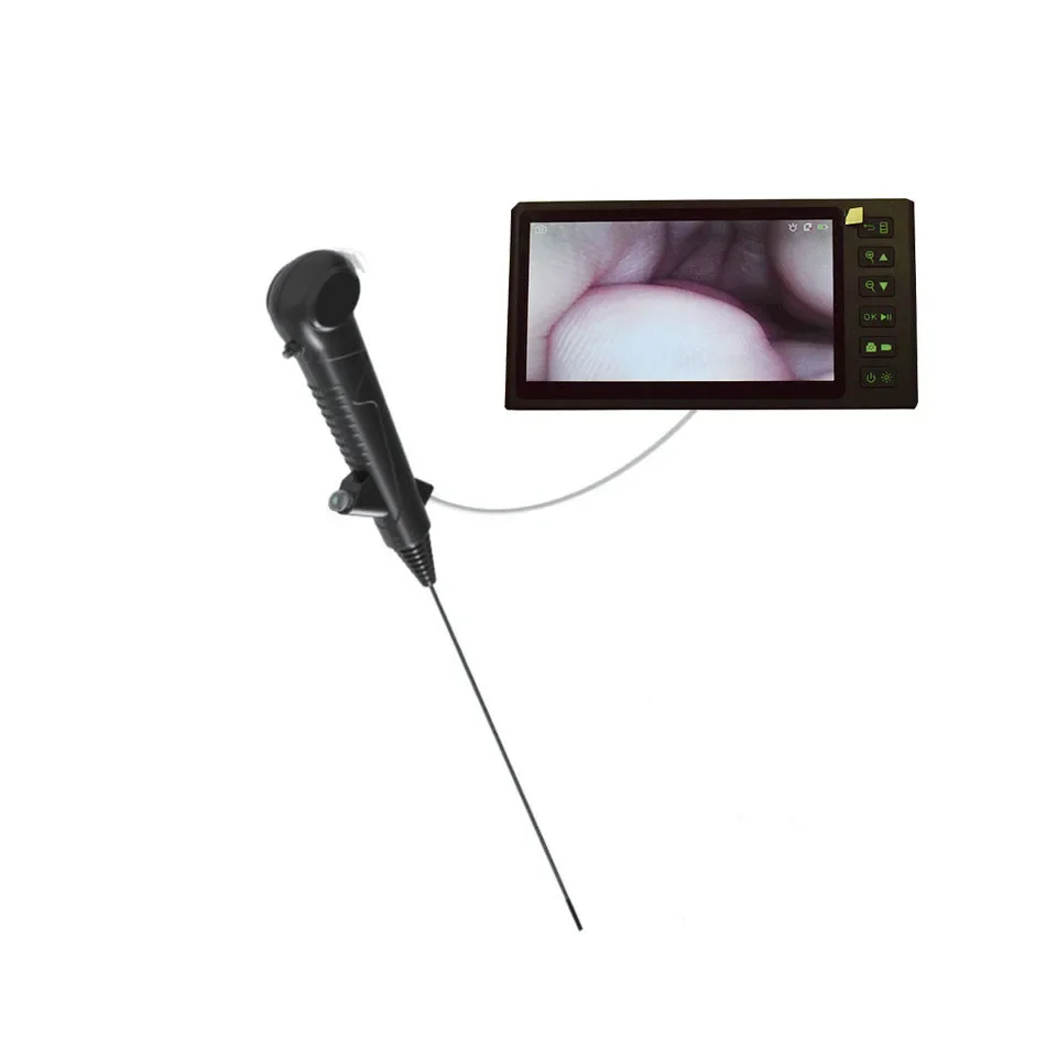 Single use Ureteroscope connect 7 inch display screen Medical mini camera with 2 LED for disposable uroscope