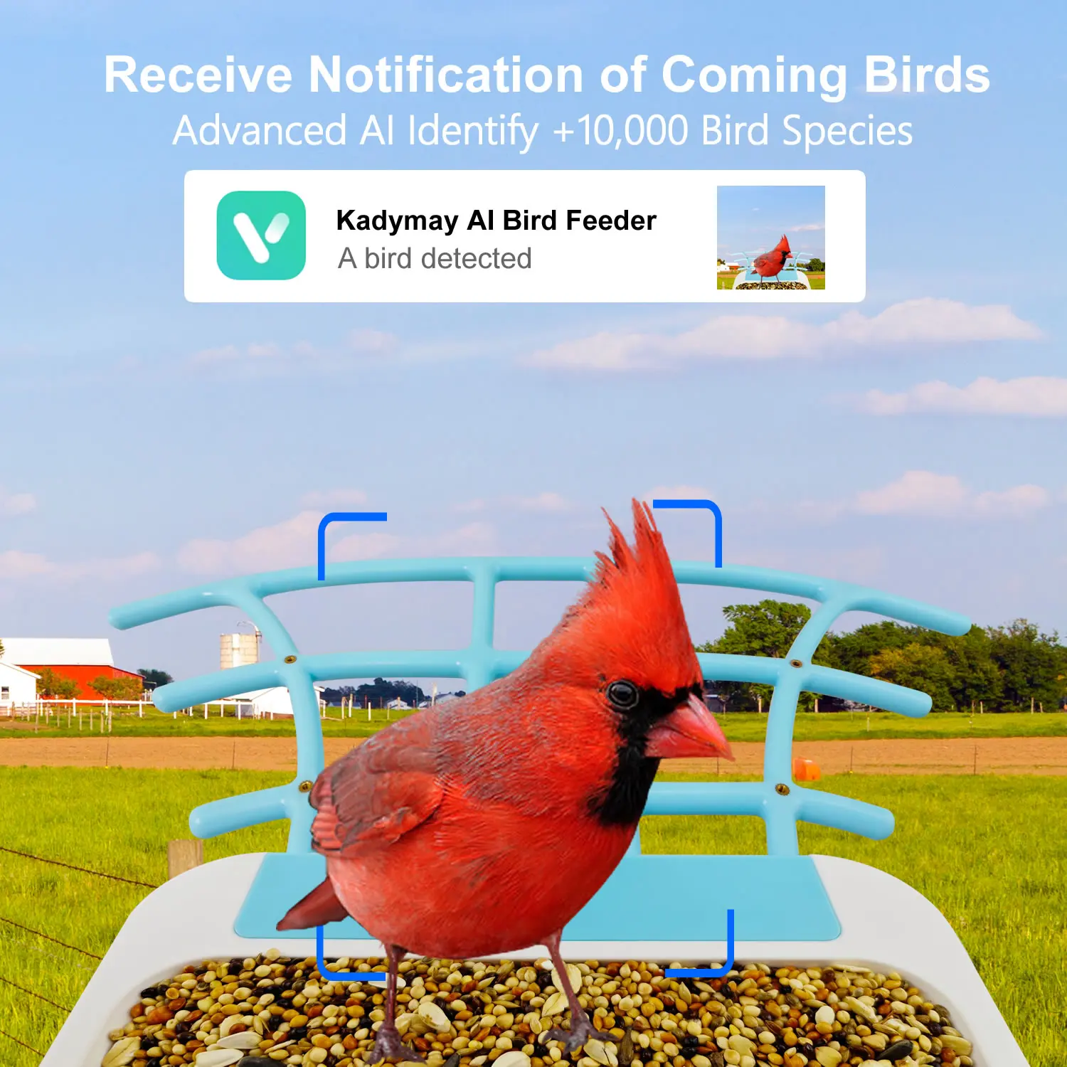 جديد في الهواء الطلق اللاسلكية الذكية AI تحديد بطارية عش الطيور منزل المغذية واي فاي كاميرا شبكة مراقبة IP مع لوحة طاقة شمسية وبطاقة الذاكرة #3