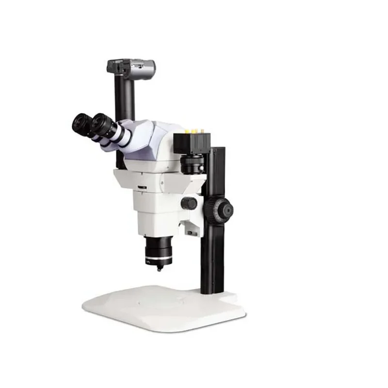 Microscope de qualité d'étude évitée pour utilisation en laboratoire professionnel