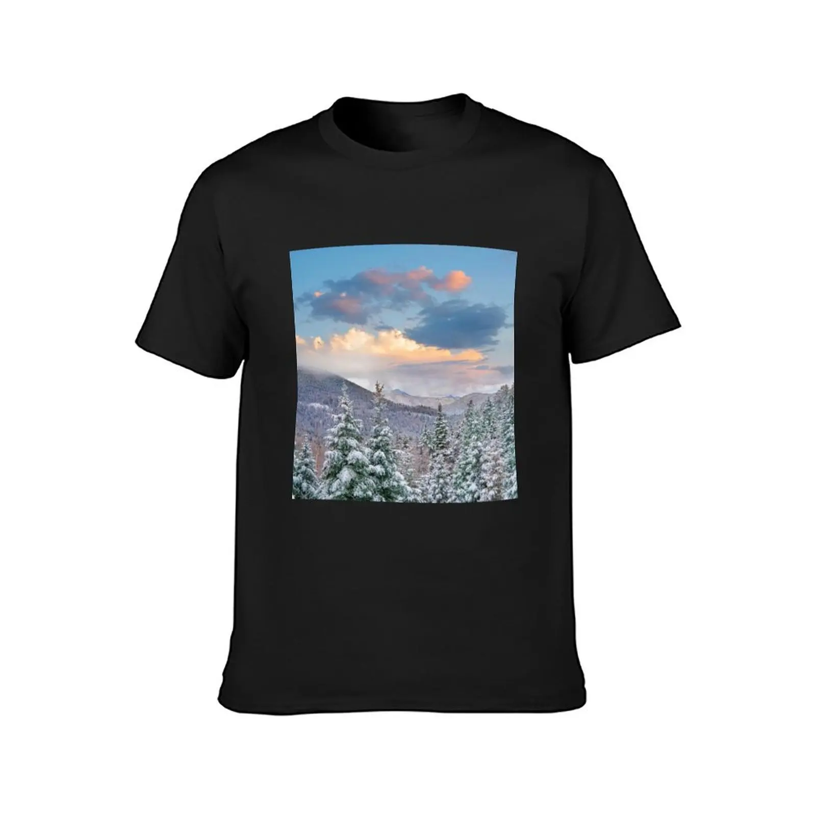 Winter Coniferous Forest Aspen Vista Santa Fe National Forest New Mexico T-shirt plus size tops Men's clothing